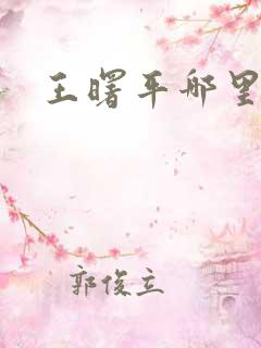 王曙平哪里人