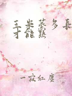 玉米蒸多长时间才能熟