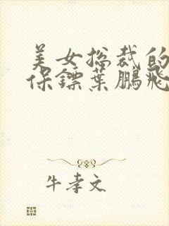 美女总裁的贴身保镖叶鹏飞免费阅读