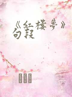 《红楼梦》精彩句段