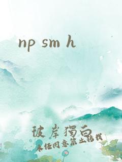 np sm h