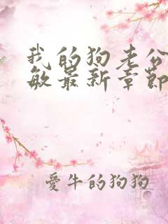 我的狗老公张淑敏最新章节免费阅读