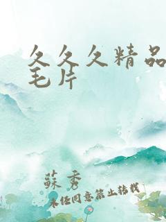 久久久精品国产毛片