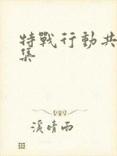 特战行动共多少集