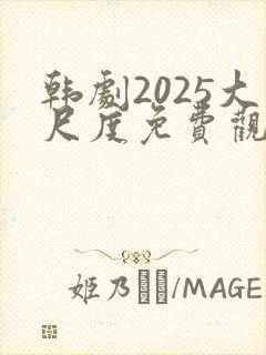 韩剧2025大尺度免费观看