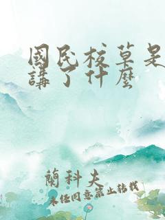 国民校草是女生讲了什么