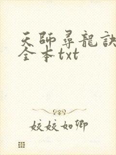 天师寻龙诀下载全本txt