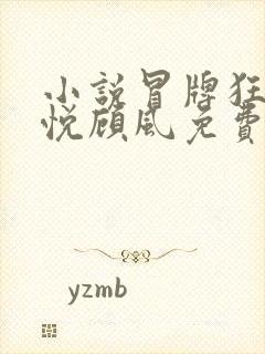 小说冒牌狂夫林悦顾风免费阅读