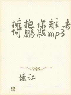 拥抱你离去dj何鹏版mp3