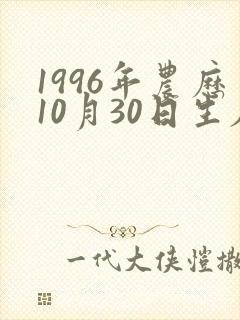 1996年农历10月30日生辰八字