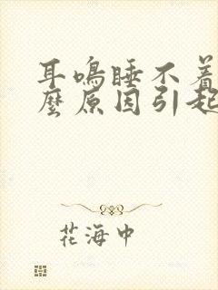 耳鸣睡不着是什么原因引起的