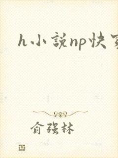 h小说np快穿