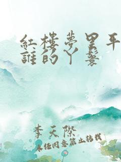 红楼梦里平儿是谁的丫鬟