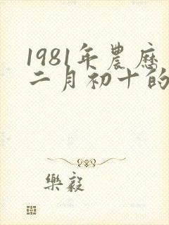 1981年农历二月初十的生辰八字