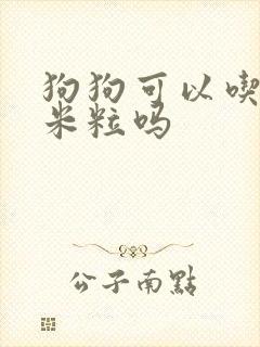 狗狗可以吃熟玉米粒吗 狗狗可以吃熟玉米粒吗