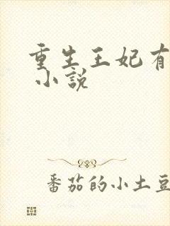 重生王妃有点凶 小说