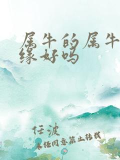 属牛的属牛配姻缘好吗 属牛的属牛配姻缘好吗