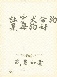 杜宾犬公狗好还是母狗好