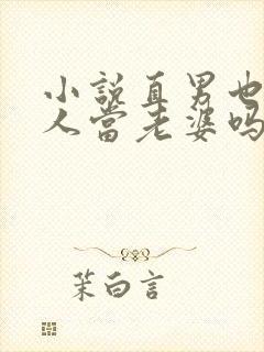 小说直男也能给人当老婆吗