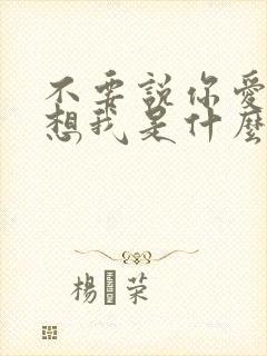 不要说你爱我你想我是什么歌名