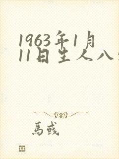 1963年1月11日生人八字算命