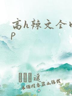 高h辣文全肉np 高h辣文全肉np