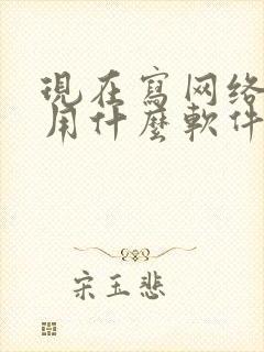 现在写网络小说用什么软件 现在写网络小说用什么软件