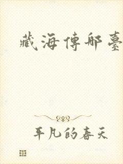 藏海传哪台播出