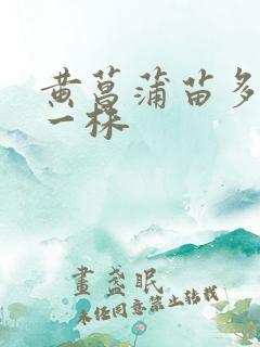 黄菖蒲苗多少钱一株