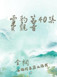 雪豹第40集免费观看