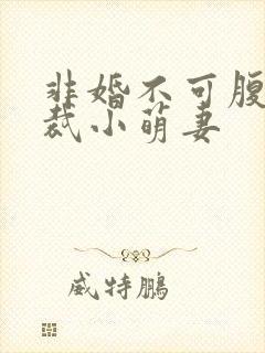 非婚不可腹黑总裁小萌妻
