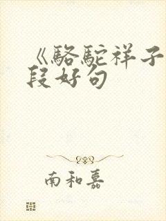 《骆驼祥子》好段好句