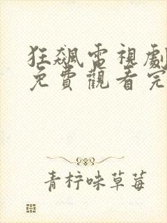 狂飙电视剧全集免费观看完整版高清