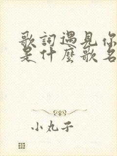 歌词遇见你的我是什么歌名 歌词遇见你的我是什么歌名