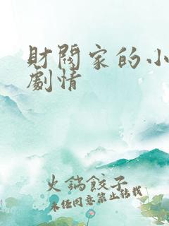 财阀家的小儿子剧情