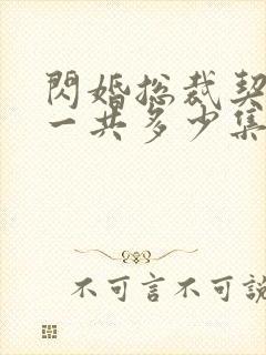 闪婚总裁契约妻一共多少集