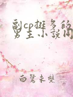 副cp挺多的双男主小说同人文