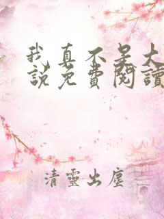 我真不是大佬小说免费阅读