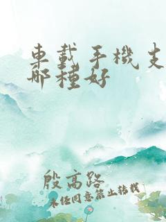 车载手机支架买哪种好