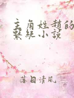 主角姓赵的穿越系统小说