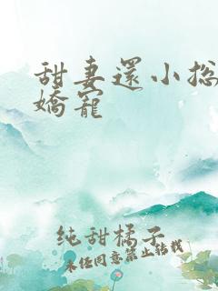 甜妻还小总裁需娇宠