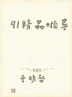 91精品啪导航