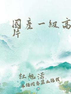 国产一级高清淫片