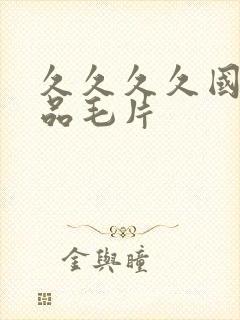 久久久久国产精品毛片