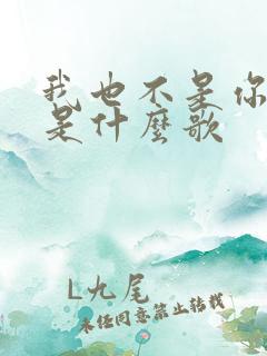 我也不是你的谁是什么歌
