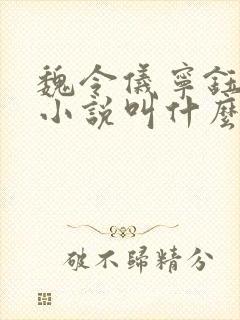 魏令仪宁钰宁昭小说叫什么名字