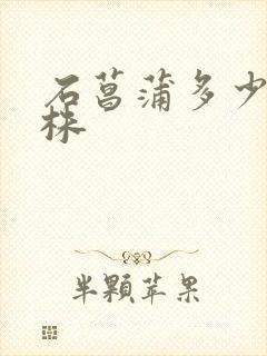石菖蒲多少钱一株