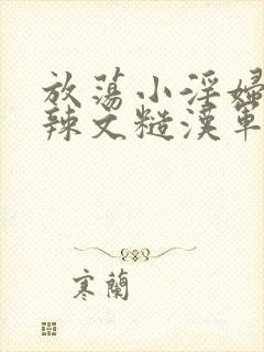 放荡小淫妇h肉辣文糙汉军婚