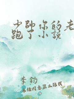 少帅你的老婆又跑了小说
