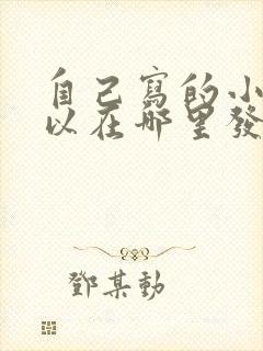自己写的小说可以在哪里发表